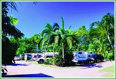 Tropical Hibiscus Caravan Park - Northern Rivers Accommodation 0