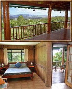 Atherton Blue Gum - Northern Rivers Accommodation 0
