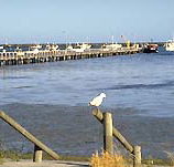 Seaview Motel and Holiday Units - Northern Rivers Accommodation