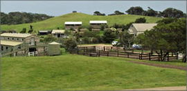 Ace Hi Riding Ranch - Northern Rivers Accommodation 0