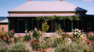 Wilpinjong NSW Northern Rivers Accommodation