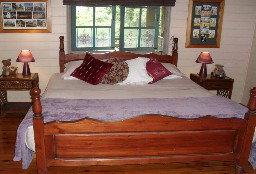 Licuala Lodge - Northern Rivers Accommodation 1