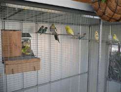 Yarragon Motel - Northern Rivers Accommodation 1