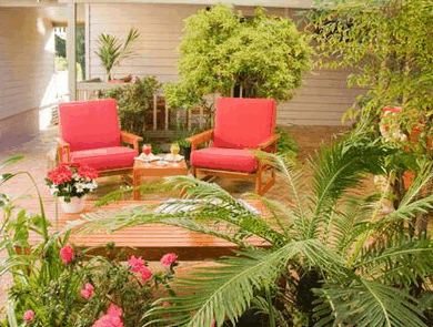 Adamsons Riverside Accommodation - Northern Rivers Accommodation 1