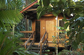 Cape Tribulation QLD Northern Rivers Accommodation