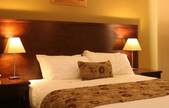 Whale Motor Inn - Northern Rivers Accommodation 1