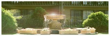 Best Western Tall Trees Motel - Northern Rivers Accommodation 2