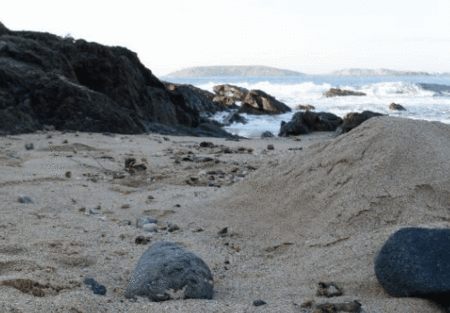 Hawaiian Sands Motor Inn - Northern Rivers Accommodation 4