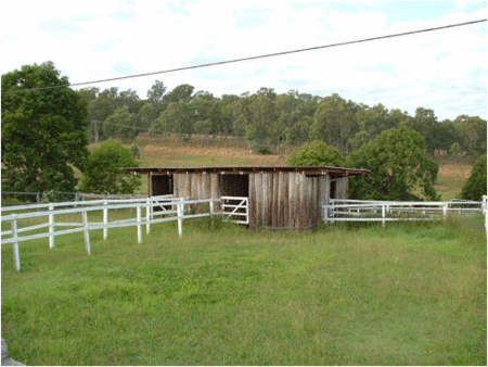 Jacaranda Motor Lodge - Northern Rivers Accommodation 1