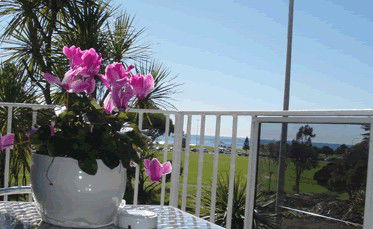 Beach Park Motor Inn - Northern Rivers Accommodation 3