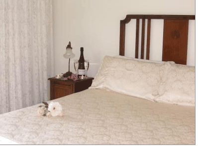 Catton Hall Country Homestead - Northern Rivers Accommodation 3