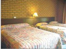Bega Village Motor Inn - Northern Rivers Accommodation 3