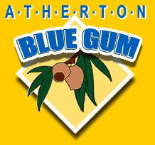 Atherton Blue Gum - Northern Rivers Accommodation 1