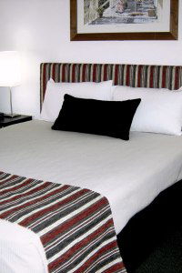 Cattle City Motor Inn - Northern Rivers Accommodation 1