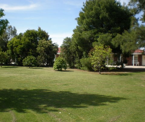 Golden Chain Border Gateway Motel - Northern Rivers Accommodation 4