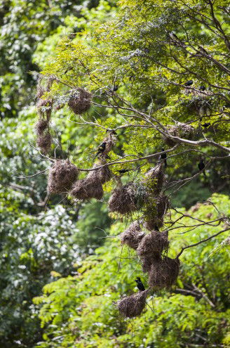 Lake Placid Tourist Park - Northern Rivers Accommodation 4