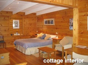 Anglesea Rivergums - Northern Rivers Accommodation 0