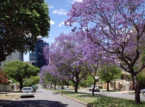 Mountway Holiday Apartments - Northern Rivers Accommodation 3