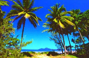 Mission Beach Rainforest Motel - Northern Rivers Accommodation 1