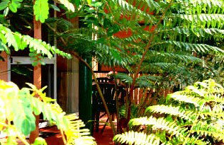 Mission Beach Rainforest Motel - Northern Rivers Accommodation 3