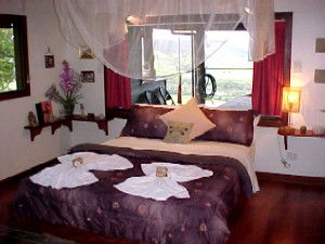 Daintree Cloud 9 - Northern Rivers Accommodation 0