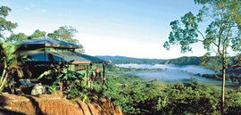 Daintree Cloud 9 - Northern Rivers Accommodation 1
