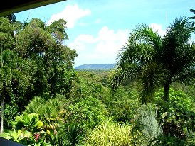 Daintree Manor - Northern Rivers Accommodation 3