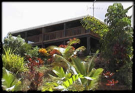 Daintree Manor - Northern Rivers Accommodation 5