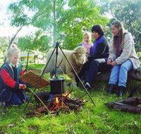 Sleepy Hollow Farm Cottage - Northern Rivers Accommodation