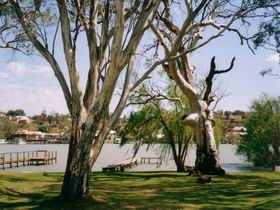 Shack 31 Bolto Reserve - Northern Rivers Accommodation 0