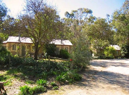 Riesling Trail Cottages - Northern Rivers Accommodation 3