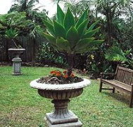 Bangalow Retreat - Northern Rivers Accommodation