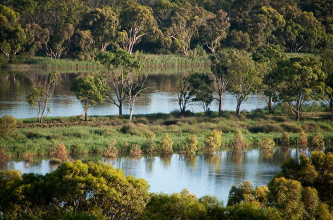 Riverview Rise Retreats - Northern Rivers Accommodation 4