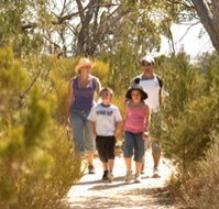 Long Island Caravan Park Cabins - Northern Rivers Accommodation
