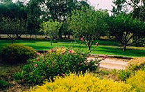 Naracoorte Cottages - Pinkerton Hill - Northern Rivers Accommodation 2