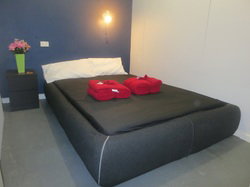 CBD Hostel And Backpackers - Northern Rivers Accommodation 3