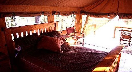 Jabiru Safari Lodge At Mareeba Wetlands - Northern Rivers Accommodation 1