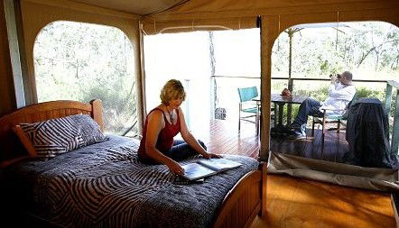 Jabiru Safari Lodge At Mareeba Wetlands - Northern Rivers Accommodation 2