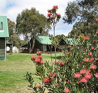 Derwent Bridge Chalets and Studios - Northern Rivers Accommodation