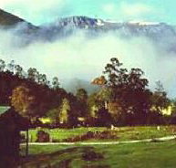 Mountain Valley Wilderness Holidays - Northern Rivers Accommodation