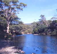 Douglas River Cabin - Northern Rivers Accommodation