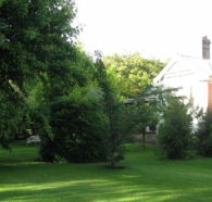 Oakdene Heritage Accommodation - Northern Rivers Accommodation