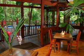Daintree Wilderness Lodge - Northern Rivers Accommodation 0