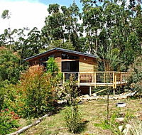 Southern Forest Accommodation - Northern Rivers Accommodation