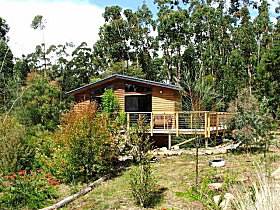 Southern Forest Accommodation - Northern Rivers Accommodation 0