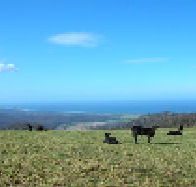 St Marys Seaview Farm - Northern Rivers Accommodation