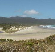 Cloudy Bay Cabin - Northern Rivers Accommodation