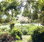 Cherry Park Estate - Northern Rivers Accommodation