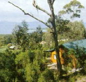 Partridge Farm - Northern Rivers Accommodation
