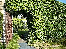 Kirra Guest House - Northern Rivers Accommodation 0